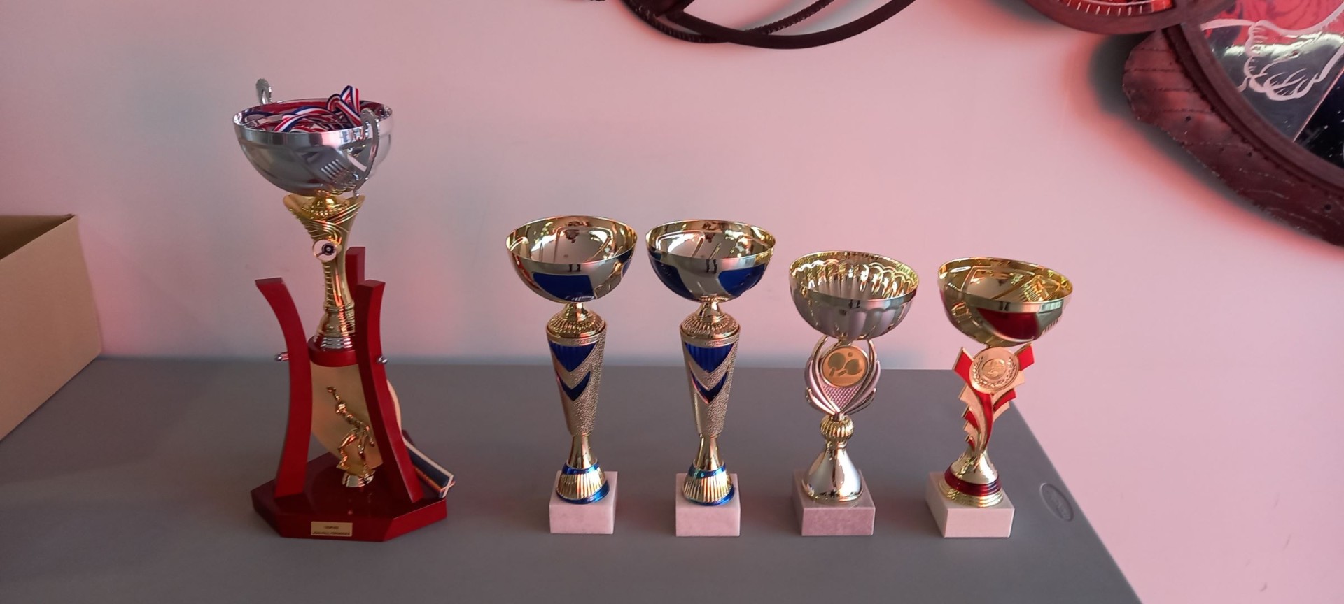 Le trophee et les coupes